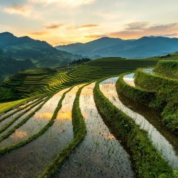 Откройте для себя экзотическую красоту Вьетнама